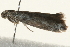  ( - 09TASF-0095)  @13 [ ] CreativeCommons - Attribution (2010) Unspecified Centre for Biodiversity Genomics