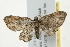 ( - 09TASF-0222)  @13 [ ] CreativeCommons - Attribution (2010) Unspecified Centre for Biodiversity Genomics