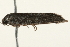  ( - 09TASF-0342)  @12 [ ] CreativeCommons - Attribution (2010) Unspecified Centre for Biodiversity Genomics