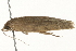  ( - 09TASF-0365)  @13 [ ] CreativeCommons - Attribution (2010) Unspecified Centre for Biodiversity Genomics
