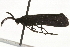  ( - 09TASF-0616)  @12 [ ] CreativeCommons - Attribution (2010) Unspecified Centre for Biodiversity Genomics