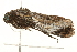  ( - 09TASF-0550)  @12 [ ] CreativeCommons - Attribution (2010) Unspecified Centre for Biodiversity Genomics