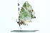  ( - 10-BWLOT-0030)  @12 [ ] CreativeCommons - Attribution (2010) CBG Photography Group Centre for Biodiversity Genomics