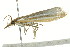  ( - 10-BWLOT-0220)  @13 [ ] CreativeCommons - Attribution (2010) CBG Photography Group Centre for Biodiversity Genomics