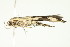  ( - 10-BWLOT-0317)  @12 [ ] CreativeCommons - Attribution (2010) CBG Photography Group Centre for Biodiversity Genomics