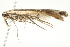 ( - 10-BWLOT-0325)  @13 [ ] CreativeCommons - Attribution (2010) CBG Photography Group Centre for Biodiversity Genomics