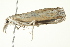  ( - 10-BWLOT-0380)  @12 [ ] CreativeCommons - Attribution (2010) CBG Photography Group Centre for Biodiversity Genomics