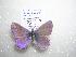  ( - 2005-LOWA-532)  @13 [ ] Unspecified (default): All Rights Reserved  Unspecified Unspecified
