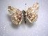  ( - LOWA-AR-105)  @12 [ ] Unspecified (default): All Rights Reserved  Unspecified Unspecified