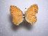  ( - LOWA-AR-50)  @13 [ ] Unspecified (default): All Rights Reserved  Unspecified Unspecified