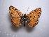  ( - LOWA-AR-63)  @13 [ ] Unspecified (default): All Rights Reserved  Unspecified Unspecified