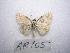  ( - LOWA-AR-105)  @13 [ ] Unspecified (default): All Rights Reserved  Unspecified Unspecified