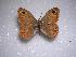  ( - LOWA-NL-11)  @13 [ ] Unspecified (default): All Rights Reserved  Unspecified Unspecified
