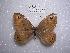  ( - LOWA-NL-31)  @13 [ ] Unspecified (default): All Rights Reserved  Unspecified Unspecified