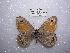  ( - LOWA-NL-31)  @13 [ ] Unspecified (default): All Rights Reserved  Unspecified Unspecified