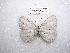  ( - LOWA-NL-33)  @13 [ ] Unspecified (default): All Rights Reserved  Unspecified Unspecified
