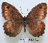  ( - McGuire09-TR109)  @14 [ ] Unspecified (default): All Rights Reserved  Unspecified Unspecified