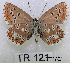  ( - McGuire09-TR121)  @13 [ ] Unspecified (default): All Rights Reserved  Unspecified Unspecified