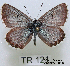  ( - McGuire09-TR121)  @13 [ ] Unspecified (default): All Rights Reserved  Unspecified Unspecified
