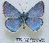  (Lysandra - McGuire09-TR127)  @15 [ ] Unspecified (default): All Rights Reserved  Unspecified Unspecified