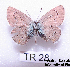  ( - McGuire09-TR28)  @13 [ ] Unspecified (default): All Rights Reserved  Unspecified Unspecified