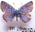  ( - McGuire09-TR28)  @13 [ ] Unspecified (default): All Rights Reserved  Unspecified Unspecified