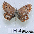  ( - McGuire09-TR45)  @13 [ ] Unspecified (default): All Rights Reserved  Unspecified Unspecified