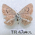  ( - McGuire09-TR47)  @12 [ ] Unspecified (default): All Rights Reserved  Unspecified Unspecified