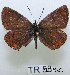  ( - McGuire09-TR53)  @13 [ ] Unspecified (default): All Rights Reserved  Unspecified Unspecified