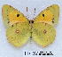  ( - McGuire09-TR67)  @14 [ ] Unspecified (default): All Rights Reserved  Unspecified Unspecified