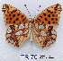  ( - McGuire09-TR70)  @14 [ ] Unspecified (default): All Rights Reserved  Unspecified Unspecified