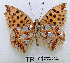  ( - McGuire09-TR71)  @13 [ ] Unspecified (default): All Rights Reserved  Unspecified Unspecified