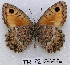  ( - McGuire09-TR72)  @14 [ ] Unspecified (default): All Rights Reserved  Unspecified Unspecified