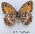  ( - McGuire09-TR73)  @14 [ ] Unspecified (default): All Rights Reserved  Unspecified Unspecified