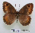  ( - McGuire09-TR73)  @13 [ ] Unspecified (default): All Rights Reserved  Unspecified Unspecified