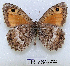  ( - McGuire09-TR76)  @14 [ ] Unspecified (default): All Rights Reserved  Unspecified Unspecified