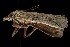  ( - CGWC-0311)  @12 [ ] CreativeCommons - Attribution (2010) Unspecified Centre for Biodiversity Genomics