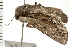  ( - 08BBLEP-02276)  @12 [ ] CreativeCommons - Attribution (2008) Unspecified Centre for Biodiversity Genomics