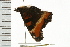  ( - 08BBLEP-02636)  @12 [ ] CreativeCommons - Attribution (2008) Unspecified Centre for Biodiversity Genomics
