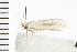  ( - 08BBLEP-02835)  @12 [ ] CreativeCommons - Attribution (2008) Unspecified Centre for Biodiversity Genomics