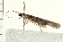  ( - 08BBLEP-02998)  @12 [ ] CreativeCommons - Attribution (2008) Unspecified Centre for Biodiversity Genomics