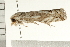  ( - 08BBLEP-03012)  @12 [ ] CreativeCommons - Attribution (2008) Unspecified Centre for Biodiversity Genomics