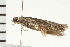  ( - 08BBLEP-03134)  @12 [ ] CreativeCommons - Attribution (2008) Unspecified Centre for Biodiversity Genomics