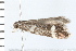  ( - 08BBLEP-02431)  @13 [ ] CreativeCommons - Attribution (2008) Unspecified Centre for Biodiversity Genomics