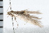  ( - 08BBLEP-02460)  @12 [ ] CreativeCommons - Attribution (2008) Unspecified Centre for Biodiversity Genomics