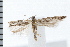  ( - 08BBLEP-02492)  @13 [ ] CreativeCommons - Attribution (2008) Unspecified Centre for Biodiversity Genomics