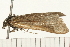  ( - 08BBLEP-03791)  @12 [ ] CreativeCommons - Attribution (2008) Unspecified Centre for Biodiversity Genomics