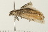  ( - 08BBLEP-03820)  @12 [ ] CreativeCommons - Attribution (2008) Unspecified Centre for Biodiversity Genomics