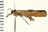  ( - 08BBLEP-03268)  @13 [ ] CreativeCommons - Attribution (2008) Unspecified Centre for Biodiversity Genomics