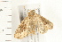  ( - 08BBLEP-03834)  @13 [ ] CreativeCommons - Attribution (2008) Unspecified Centre for Biodiversity Genomics